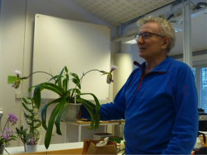 Lars visar upp Paphiopedilum Leeanum.