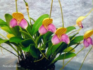 10-p1190904